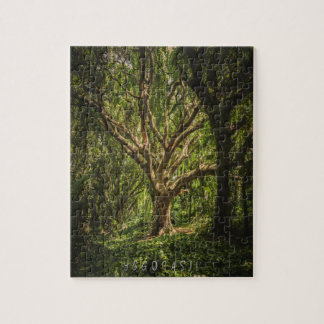Yggdrasil (Neraines) - Klassiskt pussel