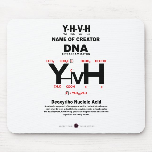 YHVH-DNA Chemical Bond Musmatta (Framsidan)