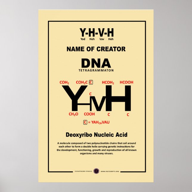 YHVH-DNA POSTER (Framsidan)