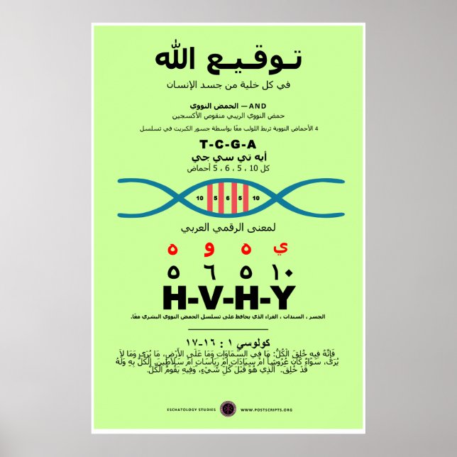 YHVH i DNA-arabiska Poster (Framsidan)