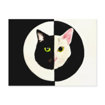 Yin och yang, svart och vit katt ansikte