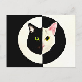 Yin och yang, svart och vit katt ansikte vykort