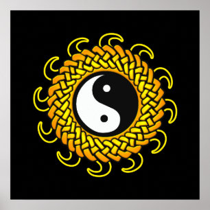 Yin Yang Braided Sol Poster