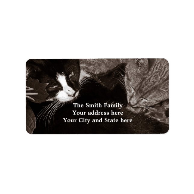 Yin Yang Cats Adressetikett (Framsidan)