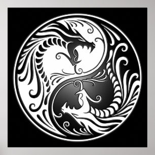 Yin Yang drakar, vit och svart Poster
