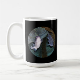 Yin Yang Fisk Foto Kaffemugge Ny Kaffemugg