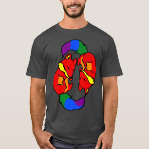 Yin Yang Foes Gay pride Premium T Shirt