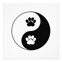 Yin Yang Hund Tass