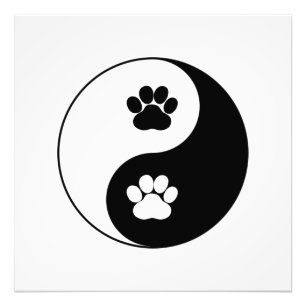 Yin Yang Hund Tass Fototryck