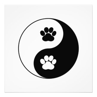 Yin Yang Hund Tass Fototryck