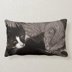Yin Yang katter Lumbarkudde