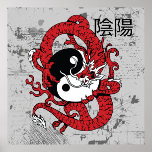 Yin yang kinesisk symbol och drake poster