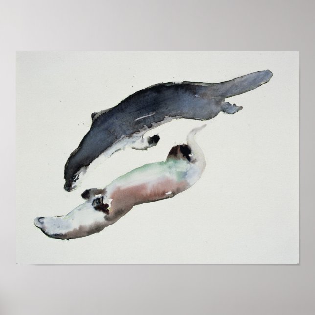 Yin Yang Poster (Framsidan)
