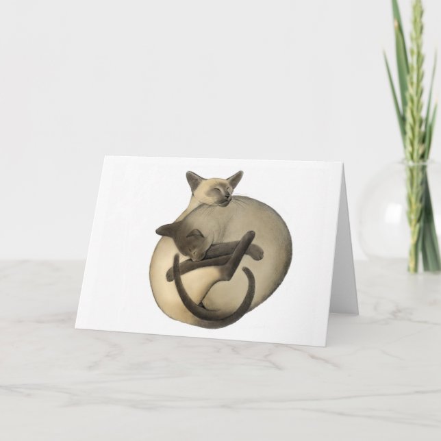 Yin Yang Siamese Cats Card Kort (Framsida)