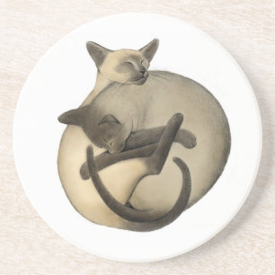 Yin Yang Siamese kattkustfartyg Underlägg Sandsten