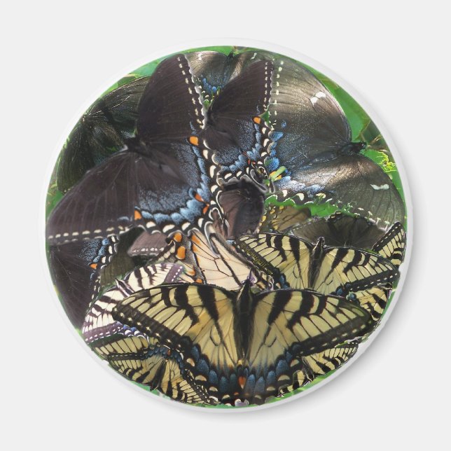 _yin_zazzle magnet (Framsidan)