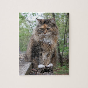Yipper Kattfoto Cheries artikel c.2020 Pussel
