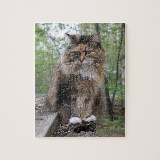Yipper | Kattfoto | Cheries artikel c.2020 Pussel (Vertikal)