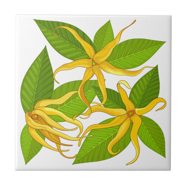 Ylang Ylang Exotic Scented Flowers Kakelplatta (Framsidan)