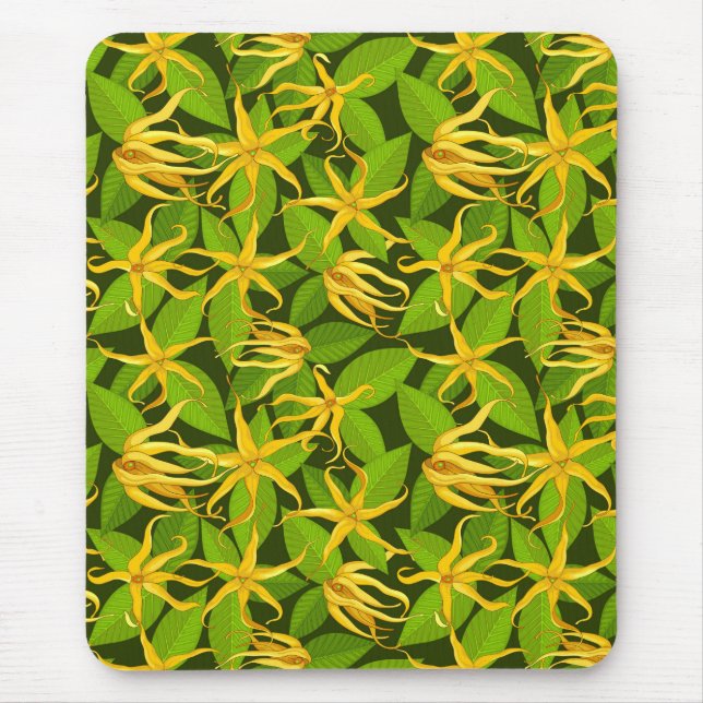 Ylang Ylang Exotic Scented Flowers Musmatta (Framsidan)