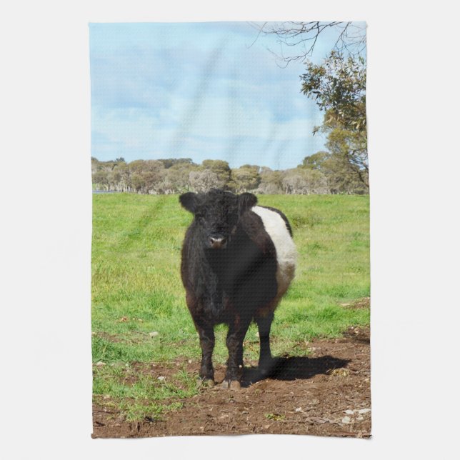 Ylle Black and White Galloway Cow. Kökshandduk (Vertikal)