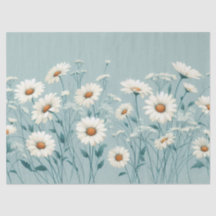Ymniga Daisy´s