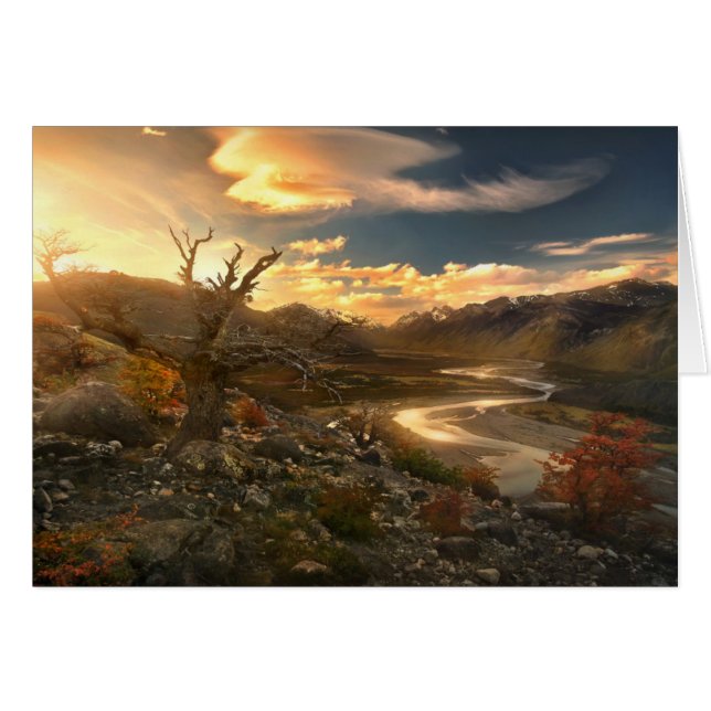 Ympkvist av vilden hälsningskort (Framsidan Horizontal)