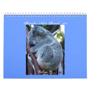 Yngre Koalakalender Kalender