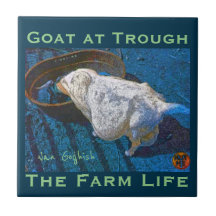 YNOTME VAN GOGHISH GOAT AT TROUGH2