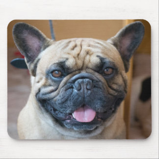 yodamousepad musmatta