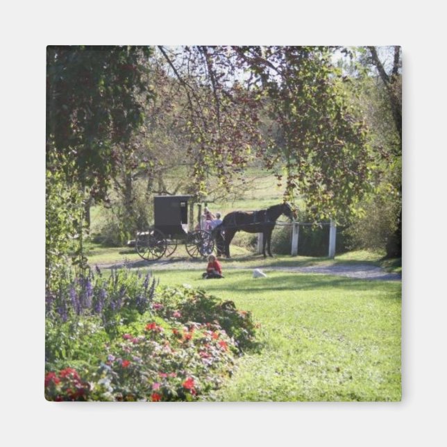 "Yoder's Amish Farm" Magnet (Framsidan)