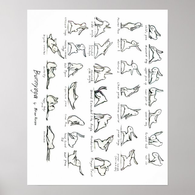 Yoga Bunny Poster (Framsidan)