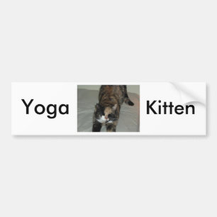 Yoga Calico Cat Bildekal