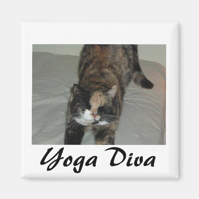 Yoga Cat Magnet (Framsidan)