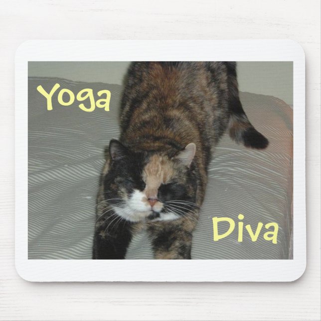 Yoga Cat Musmatta (Framsidan)