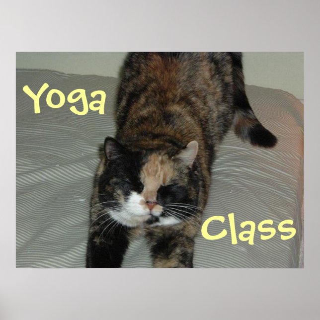 Yoga Cat Poster (Framsidan)
