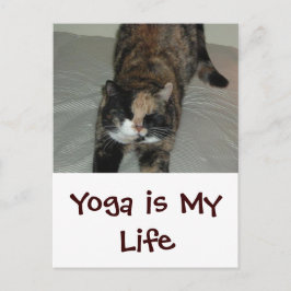 Yoga Cat Vykort