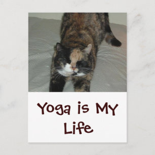 Yoga Cat Vykort
