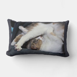 Yoga "Jag är inte så nyktert som jag brukade vara. Lumbarkudde