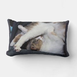 Yoga "Jag är inte så nyktert som jag brukade vara. Lumbarkudde