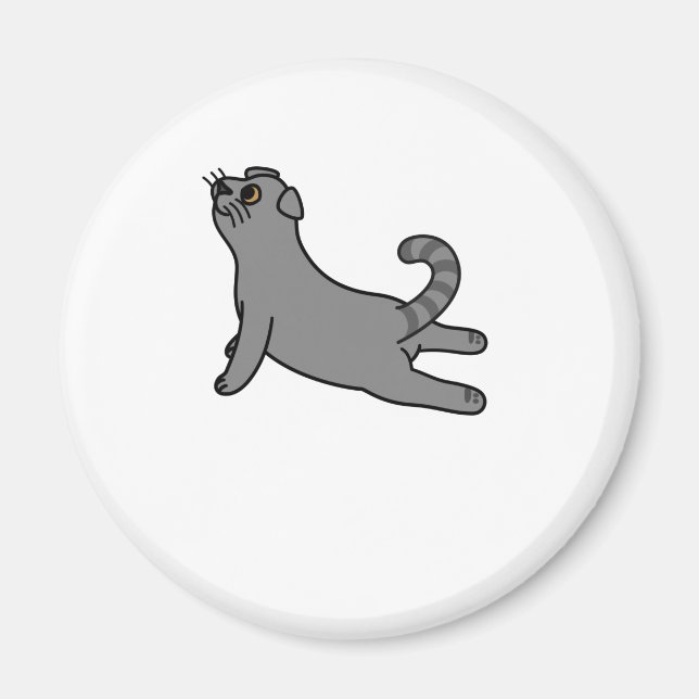 Yoga Pose Scottish Fold Cat Magnet (Framsidan)