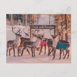 Yoga Reindeer jul Vykort