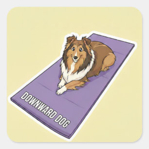 Yoga Sheltie Fyrkantigt Klistermärke