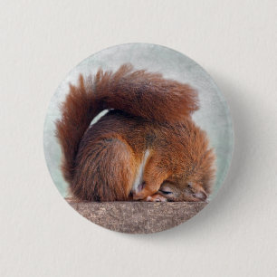 Yoga Squirrel Badge Knapp