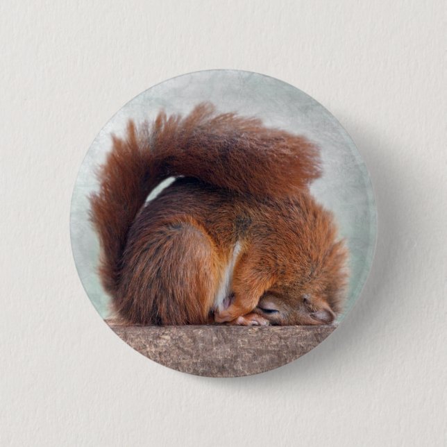 Yoga Squirrel Badge Knapp (Framsida)