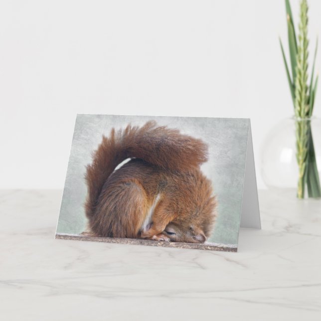 Yoga Squirrel Card Kort (Framsida)