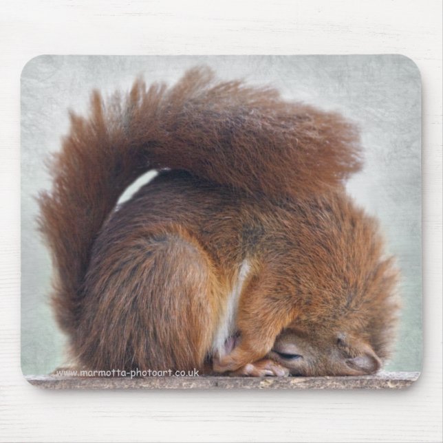 Yoga Squirrel Mousemat Musmatta (Framsidan)