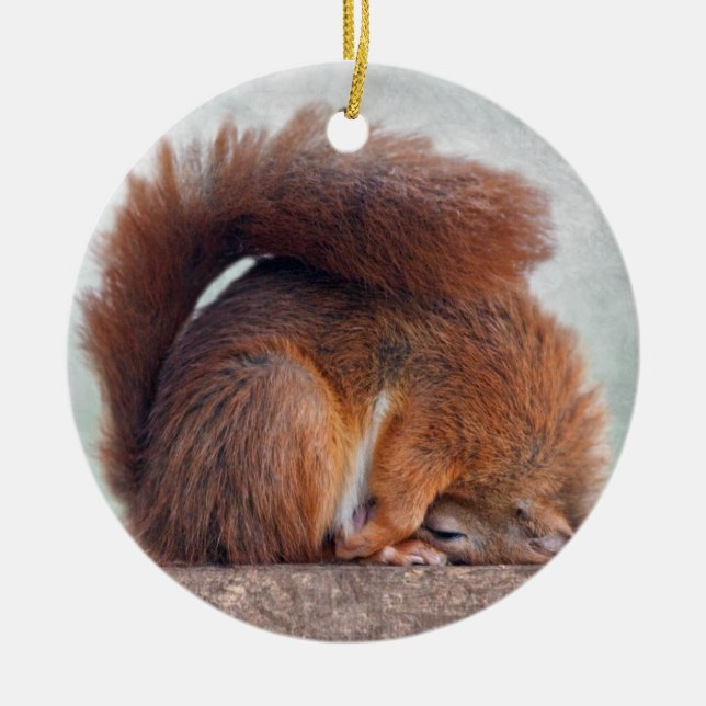 Yoga Squirrel Ornament (Framsidan)