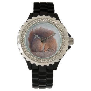 Yoga Squirrel Watch Armbandsur
