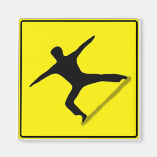 Yoga Zon Magnet